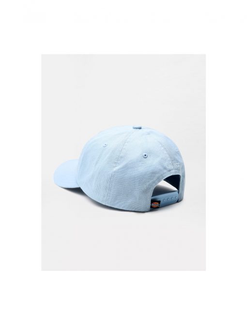 Dickies Hardwick Baseball Cap Light Blue