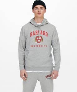 Only & Sons Harward Hood Light Grey Melange