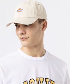 Dickies Hardwick Cap Cement
