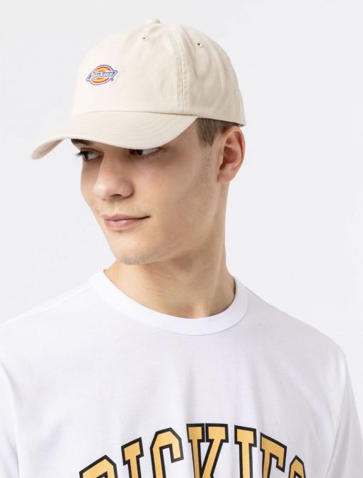 Dickies Hardwick Cap Cement