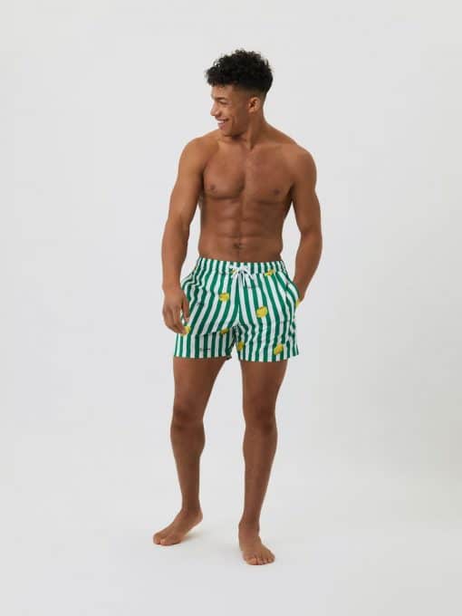 Björn Borg Swim Shorts Green