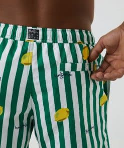 Björn Borg Swim Shorts Green