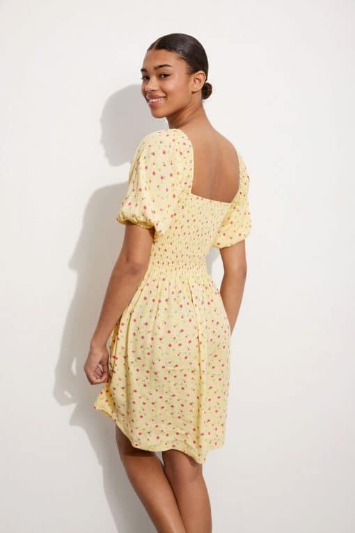 Envii Enzinnia SS Dress Pink Buttercup
