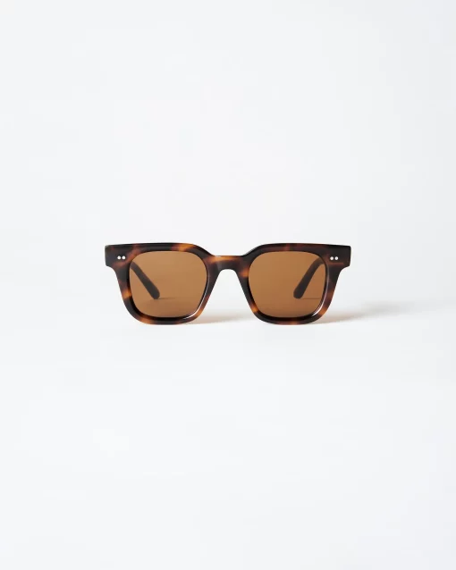 Chimi 04 Tortoise