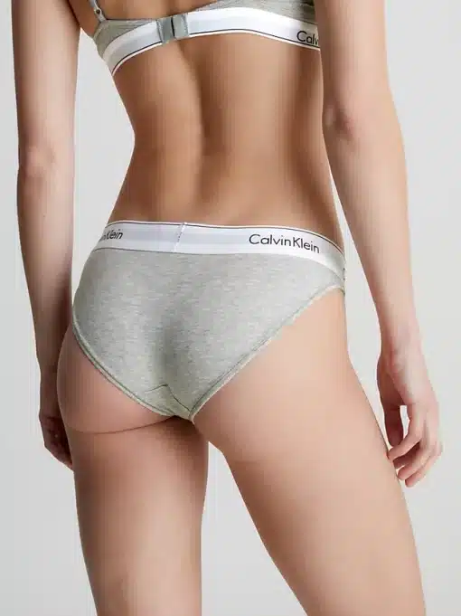 Calvin Klein Modern Cotton Bikini Brief  Grey Heather